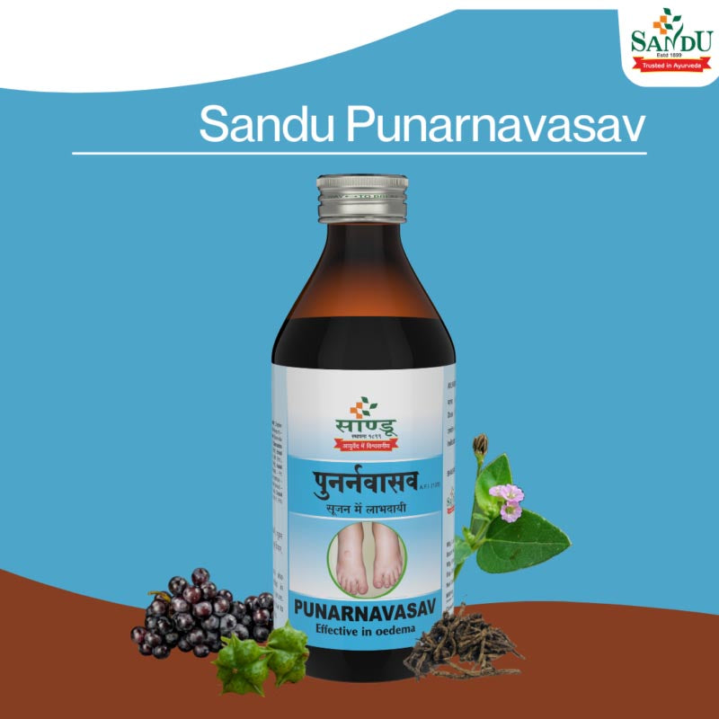 Sandu Rasnasaptak Kadha